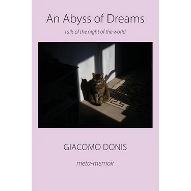 An Abyss of Dreams