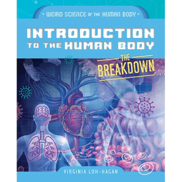 Introduction to the Human Body