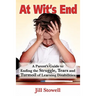 At Wit's End: A Parent's Guide to Ending the Struggle, Tears and Turmoil of Learning Disabilities