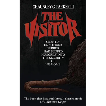 The Visitor