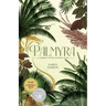 Palmyra