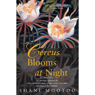 Cereus Blooms at Night