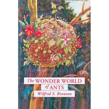 The Wonder World of Ants