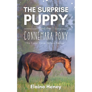 The Surprise Puppy and the Connemara Pony - The Coral Cove Horses Series