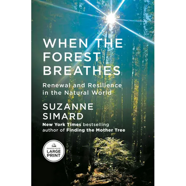 When the Forest Breathes: Renewal and Resilience in the Natural World