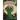 Conquest of Greystone Valley