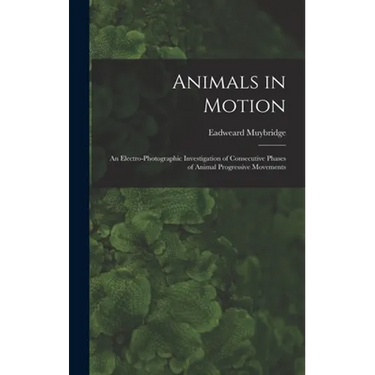 Animals in Motion: an Electro-photographic Investigation of Consecutive Phases of Animal Progressive Movements