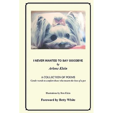 I Never Wanted To Say Goodbye