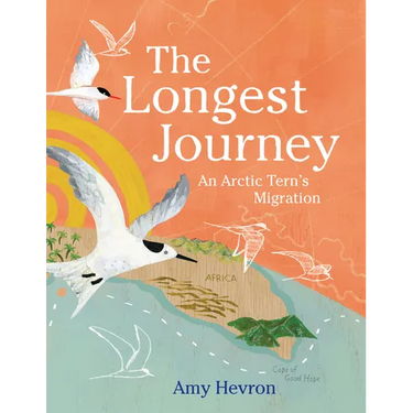 The Longest Journey: An Arctic Tern's Migration