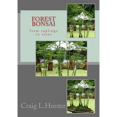 Forest Bonsai: from saplings to trees