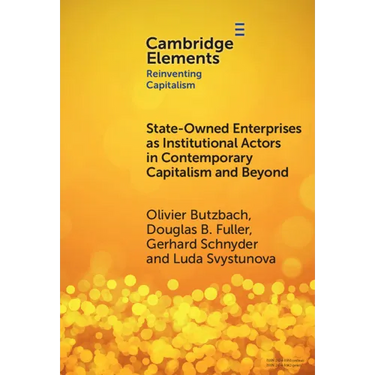 State-Owned Enterprises as Institutional Actors in Contemporary Capitalism and Beyond