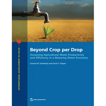 Beyond Crop per Drop: Assessing Agricultural Water Productivity and Efficiency in a Maturing Water Economy