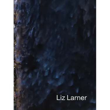Liz Larner