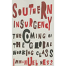 Southern Insurgency: The Coming of the Global Working Class