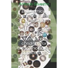 Biochemical analyses of the marine diatom Cyclotella cryptica grown under different nutritional condition for biotechnological applications
