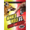 Maned Wolf vs. Giant Anteater