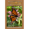 Illumen Autumn 2023