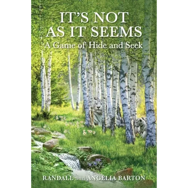 It's Not as It Seems: A Game of Hide and Seek