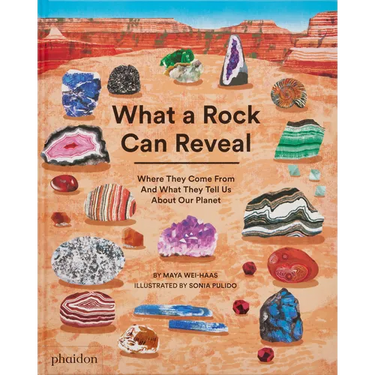 What a Rock Can Reveal: Where They Come from and What They Tell Us about Our Planet