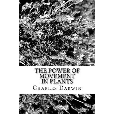 The Power of Movement in Plants
