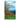 Field Guide to the Chessie Nature Trail