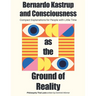 Bernardo Kastrup and Consciousness as the Ground of Reality