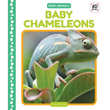 Baby Chameleons