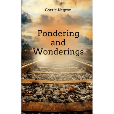 Pondering and Wonderings