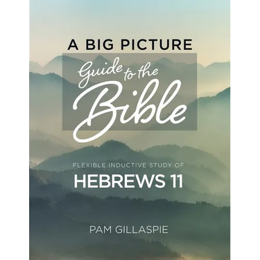 A Big Picture Guide to the Bible: Hebrews 11