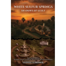 White Sulfur Springs: Shadows of Guilt