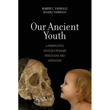 Our Ancient Youth: A Perspective on Evolutionary Phylogeny and Ontogeny