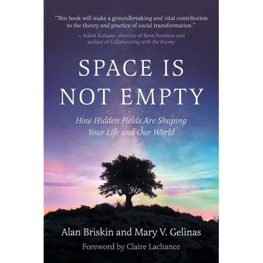 Space Is Not Empty: How Hidden Fields Are Shaping Your Life and Our World