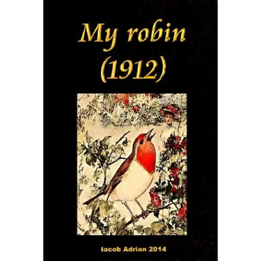 My robin (1912)