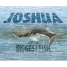 Joshua and the Biggest Fish