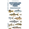 Newfoundland & Labrador Fishes: A Folding Guide to Native and Introduced Freshwater Species