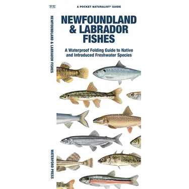 Newfoundland & Labrador Fishes: A Folding Guide to Native and Introduced Freshwater Species