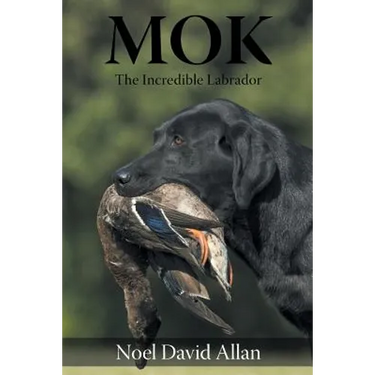 Mok: The Incredible Labrador