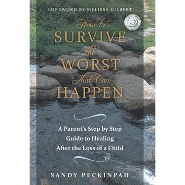 How to Survive the Worst That Can Happen: A Parent's Step by Step Guide to Healing After the Loss of a Child