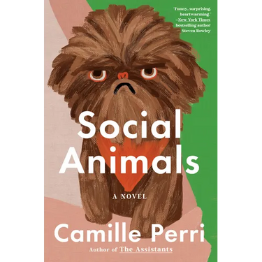 Social Animals