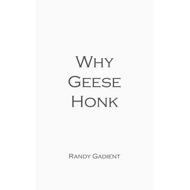 Why Geese Honk: The Power of Encouragement