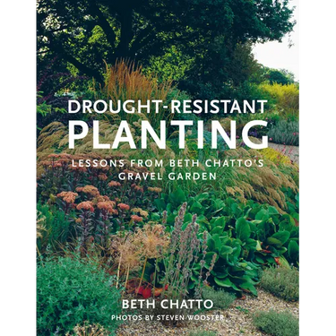Drought-Resistant Planting: Lessons from Beth Chatto's Gravel Garden