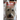 The Rowlette Veterinarian Murders