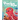 Pocky: An Octopus Learns Consent