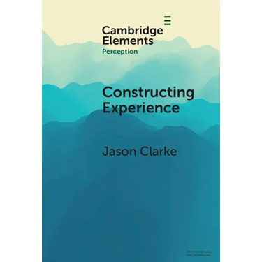 Constructing Experience