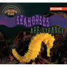 Seahorses Are Strange
