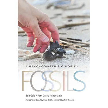 A Beachcomber's Guide to Fossils
