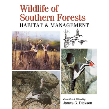 Wildlife of Southern Forests: Habitat & Management