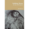 Stalking Moon the last wild Apache