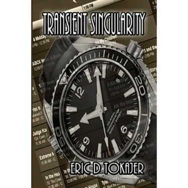 Transient Singularity: A Novella (Book 1 of The Singularity Series)