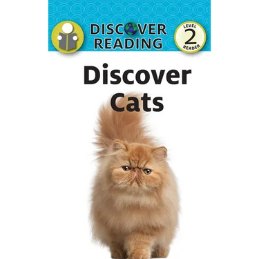 Discover Cats